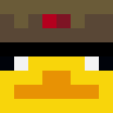 Player skin of LORD_BIRB7878