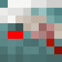 Player skin of Larww
