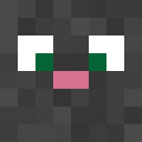 Player skin of Leothecat24