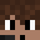Player skin of LimeeFox