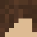 Player skin of LionShield