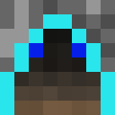 Player skin of LordOfGears2