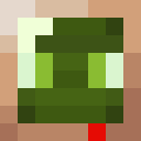 Player skin of M0sshroomsty