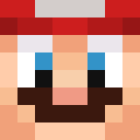 Player skin of M4R1O_BR0S