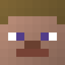 Player skin of MCPro1239953