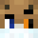 Player skin of Madiceq