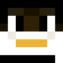 Player skin of MaksW0515
