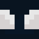 Player skin of Medmaster12