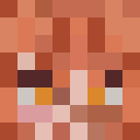 Player skin of Medvebooba