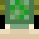 Player skin of Mfish13