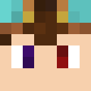 Player skin of MinerMinde