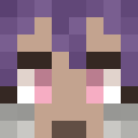 Player skin of MiniNomii