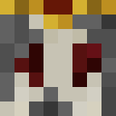 Player skin of MioPro5
