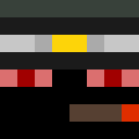 Player skin of MisterXX