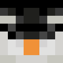 Player skin of MonsterPoint