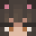 Player skin of MrCheesGuy