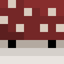 Player skin of MushroomFairys