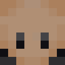 Player skin of MyNameIsLamp