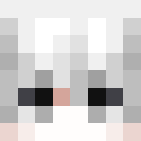 Player skin of N3IL_