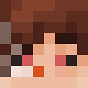 Player skin of NarK0mAnus
