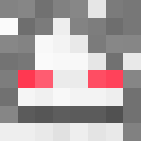 Player skin of NetherTortoise