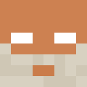 Player skin of NiceFool