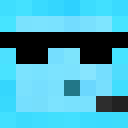 Player skin of Nicnicnico