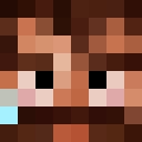 Player skin of Nicolas59