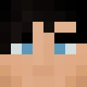 Player skin of Nighttwing___