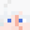 Player skin of Ninjahade