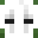 Player skin of Noctinius