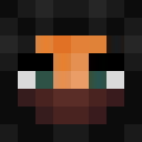 Player skin of North_5