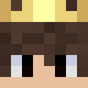 Player skin of NotGamerFleet