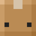 Player skin of NotMephisto