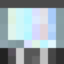 Player skin of Not_an_Auditor
