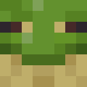 Player skin of Owaochu