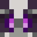 Player skin of POLAR_BEAR64