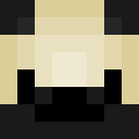 Player skin of POOPEEPUG