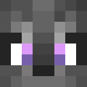 Player skin of Paandann_