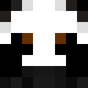 Player skin of Panda4884