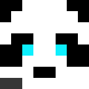 Player skin of PandaGamer_DK
