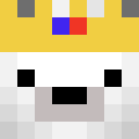 Player skin of Panda___Bear