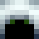 Player skin of Paulpaulsen