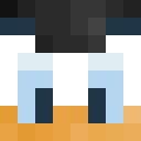 Player skin of PeakKingDuck