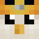 Player skin of Penguesan