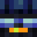 Player skin of PenguinAmigoXD
