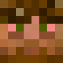 Player skin of PeterNolch