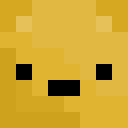Player skin of PhotoGuy