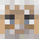Player skin of Pivomir