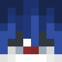 Player skin of Pixelcraft81